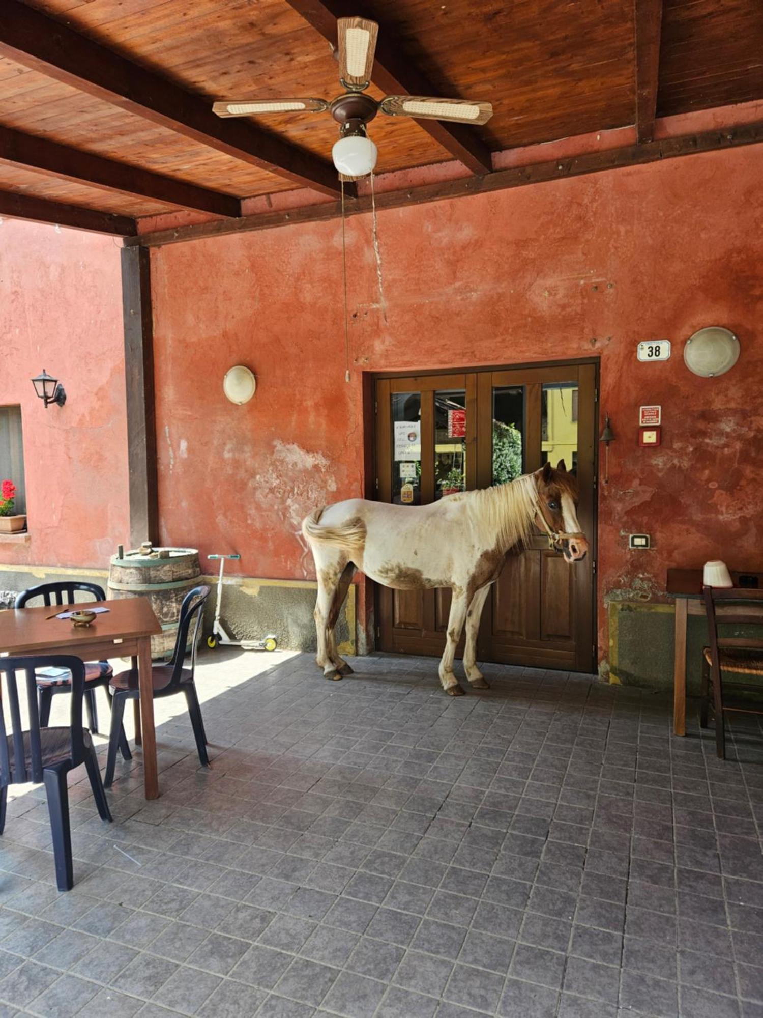 Agriturismo La.Ti.Mi.Da. Villa Cassine Buitenkant foto