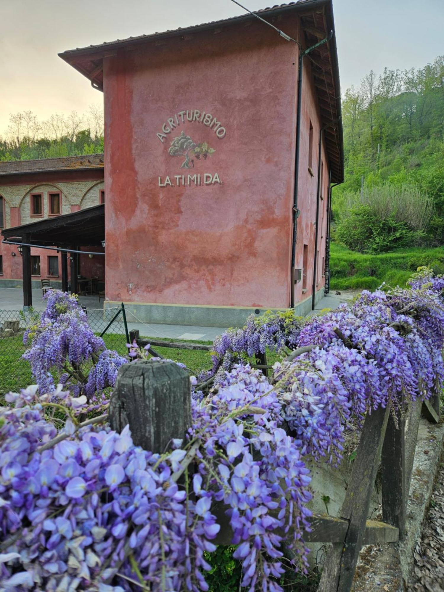 Agriturismo La.Ti.Mi.Da. Villa Cassine Buitenkant foto